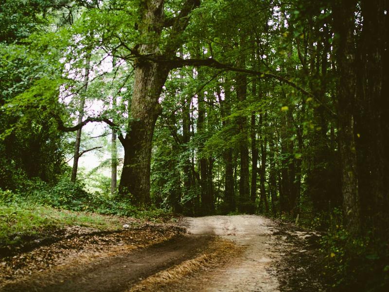 feedback screenshot 3